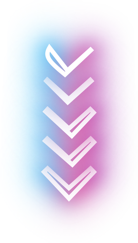 neon line design